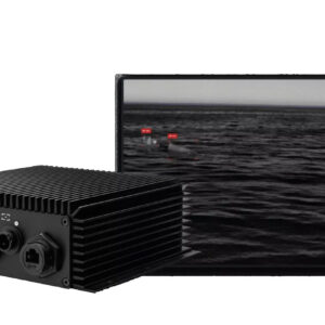 Brain